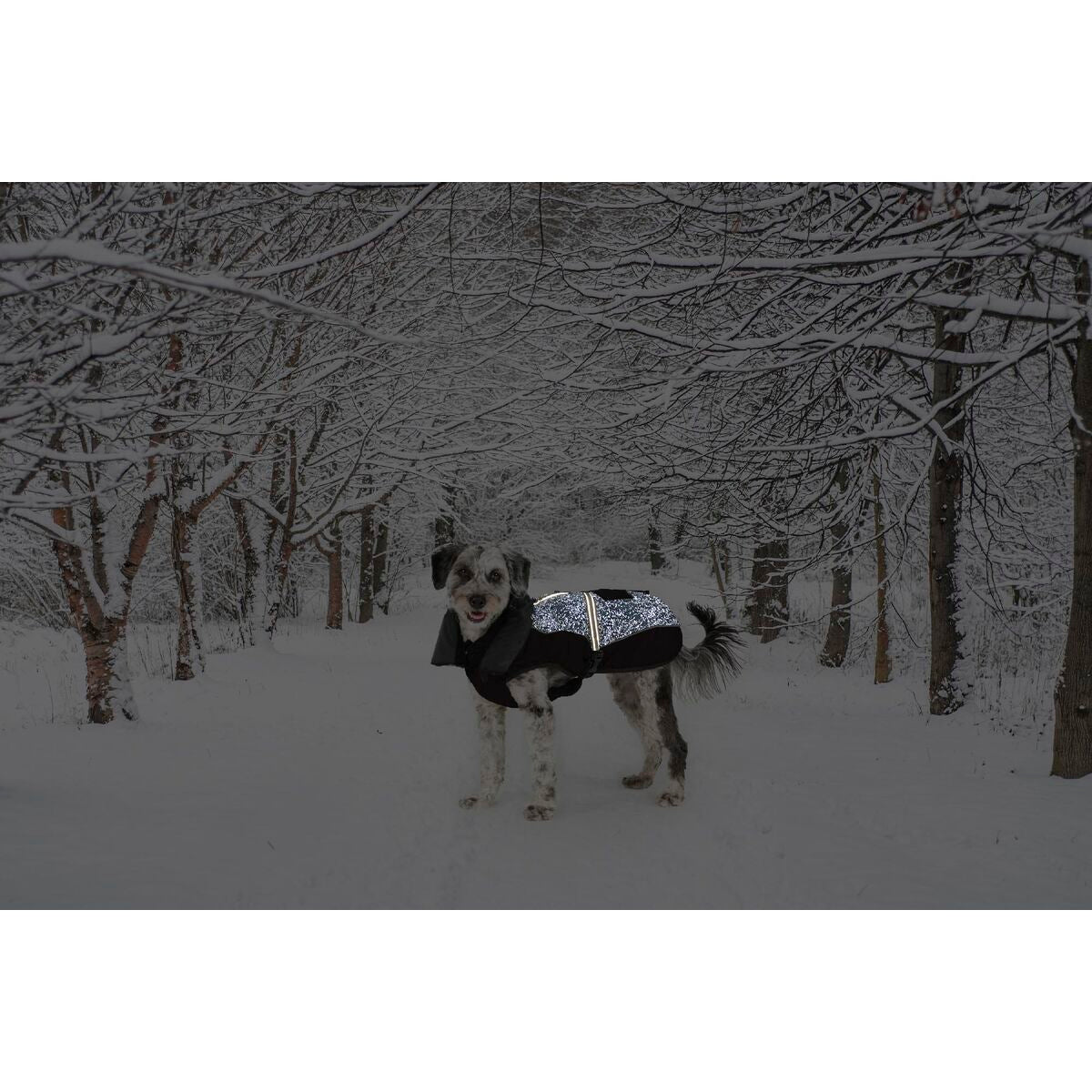 V4H0D2A2F62D9A49D5AD82974EF743F6DB3R5332494P2