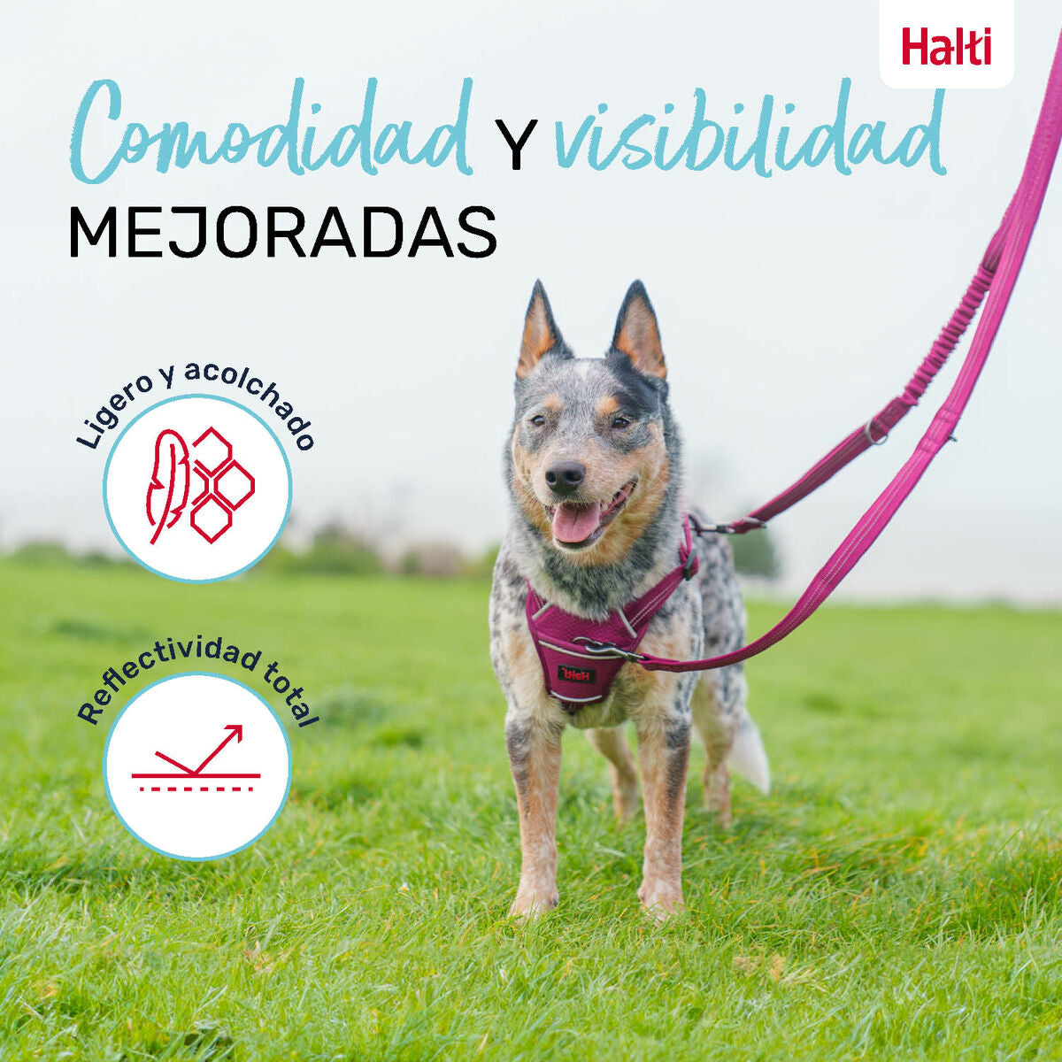 V4H20183215910269867B7CDC4E6328DBE1R5328518P2
