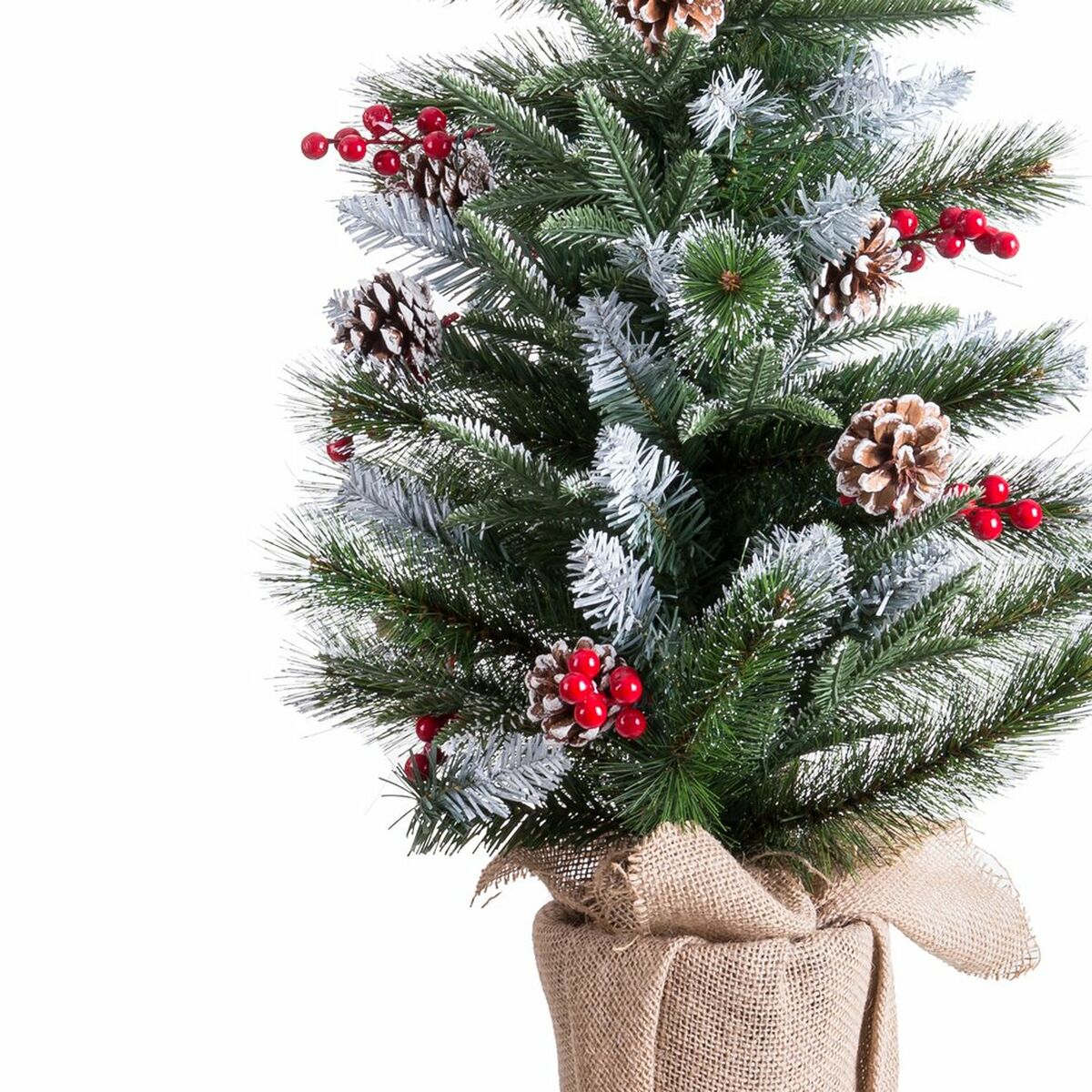 V4H251221A4C86568D7EAF47EDECD884EFER5013655P2