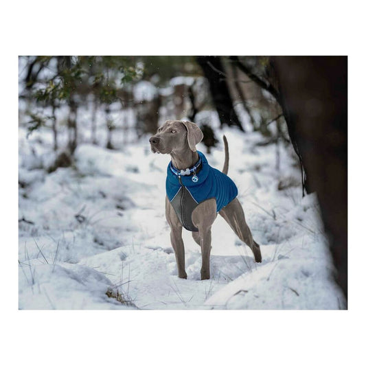 V10H2839EBF7D99669AB9EA746EC616891AFR5500989P2